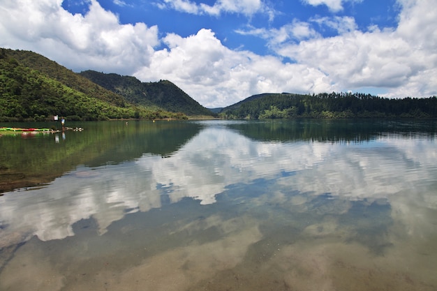 Jezioro W Lesie, Rotorua, Nowa Zelandia