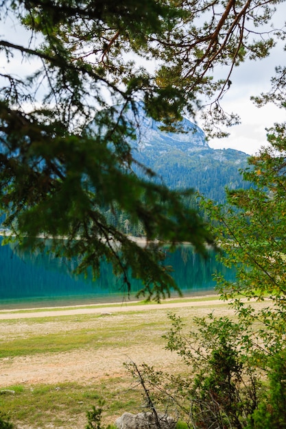 Jezioro W Parku Leśnym Durmitor. Czarnogóra.