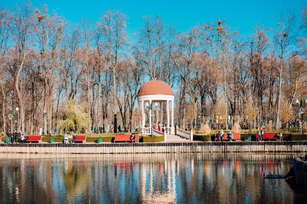Jezioro w parku miejskim jesienią