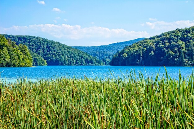 Zdjęcie jezioro w parku przyrody plitvice w chorwacji