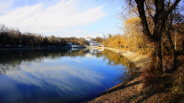 Jezioro w parku wiosną.