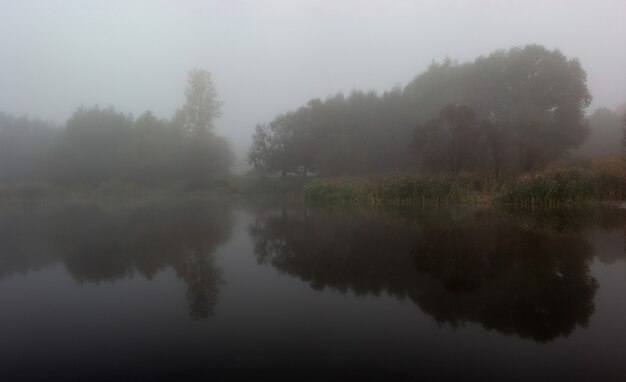 Jezioro we mgle refleksji