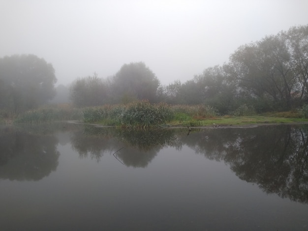 Jezioro we mgle
