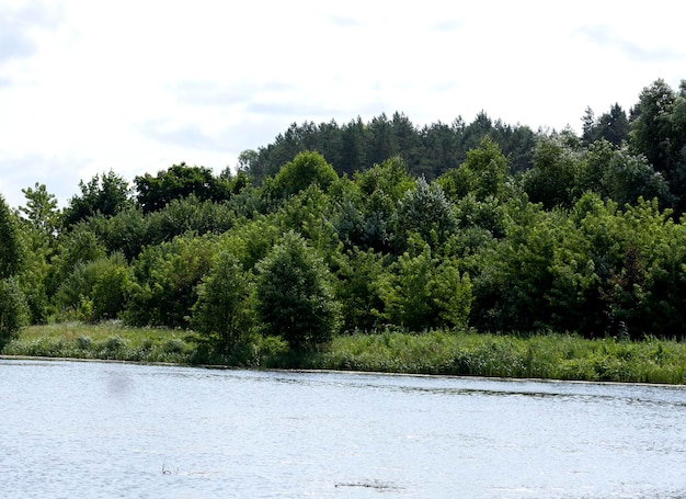 Jezioro z brudną wodą latem