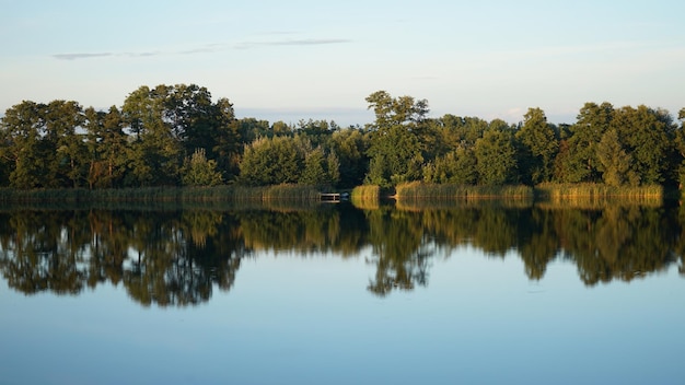 Jezioro z drzewami i łodzią na pierwszym planie