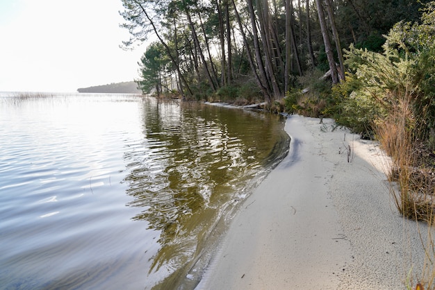 Zdjęcie jezioro z piaszczystą plażą w miejscowości hourtin gironde aquitaine