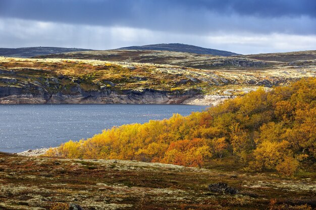 Jezioro z roślinnością w tundrze jesienią. Półwysep Kolski, Rosja.