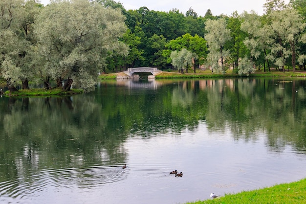 Jezioro ze starym mostem w parku w Gatchina w Rosji