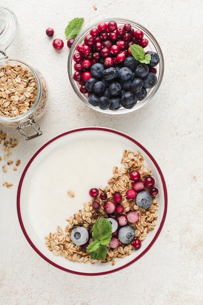 Jogurt Grecki Z Granolą, świeżymi Jagodami, żurawiną I Miętą W Talerzu Na Jasnym Tle. Lekkie śniadanie Dla Diety I Fitnessu. Widok Z Góry Z Miejscem Na Kopię Tekstu.