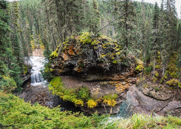 Johnston Canyon W Bow Valley Z Strumieniem Przepływającym W Parku Narodowym Banff