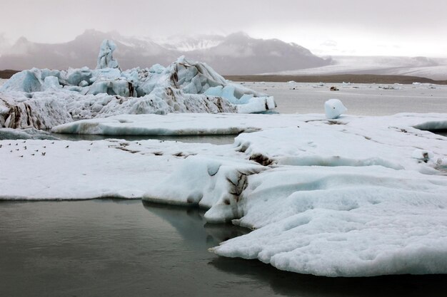 Jokulsarlon Islandia w środku lata Topniejące góry lodowe z lodowca Vatnajokull pływające w lagunie Jokulsarron