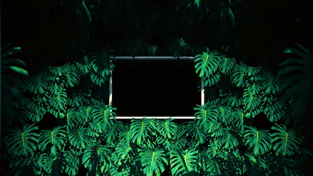 Jungle In Swiss Cheese Plant Frame Background do reklamy w przyrodzie i na scenie reklamowej