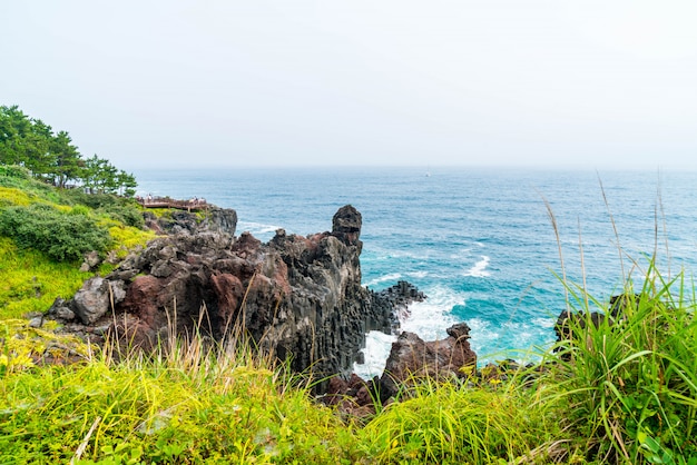 Jungmun Daepo Coast Jusangjeolli Cliff, Wyspa Jeju