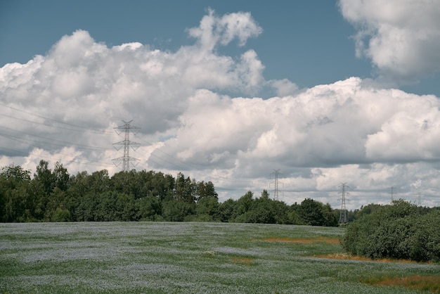 Kabel elektryczny wieży wysokiego napięcia stoi w terenie Przesyłanie energii elektrycznej Uprzemysłowienie obszarów wiejskich