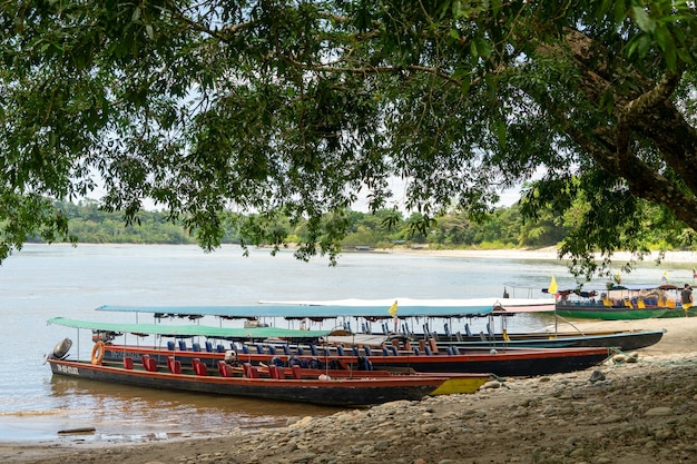 Kajaki Na Plaży Misahualli, Prowincja Napo, Ekwador