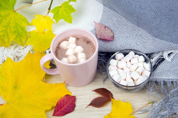 Kakao i marshmallows Jesienna koncepcja widok z góry