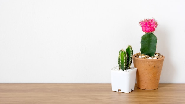 Kaktus na drewnianym stole i białym tle z kopii przestrzenią