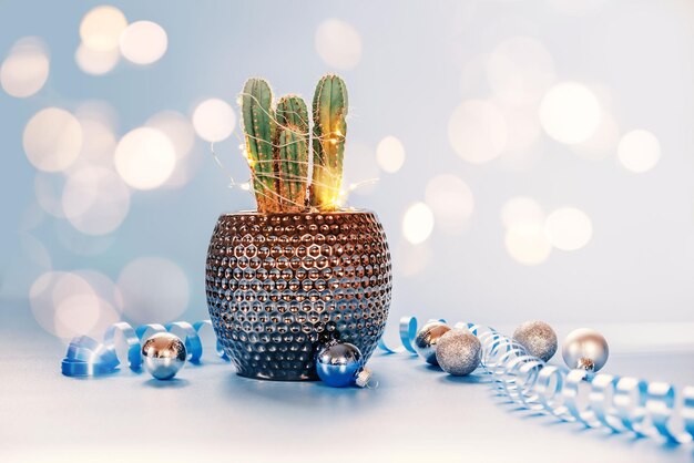Kaktus ozdobiony bożonarodzeniowymi lampkami i ozdobami na niebieskim tle, alternatywy dla choinek