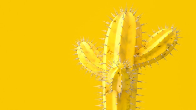 Kaktusowy Kolor żółty