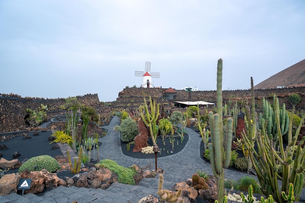 Kaktusowy ogród Lanzarote Wyspy Kanaryjskie Hiszpania