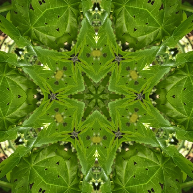 Kalejdoskop zielonych liści składa się z okrągłego wzoru.