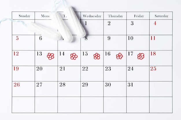 Zdjęcie kalendarz cyklu miesiączkowego. tampony, podpaski. koncepcja owulacji. koncepcja miesiączki.