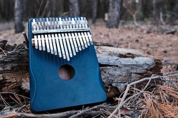 Kalimba to afrykański instrument muzyczny w lesie w pobliżu drzewa.