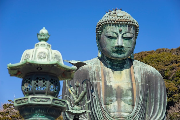 Kamakura Daibutsu z niebieskim niebem