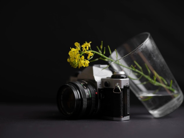 Kamera filmowa i żółty kwiat
