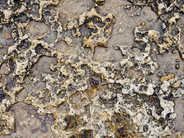 Kamień na piasku, widok z bliska gładkich, wypolerowanych kolorowych kamieni wyrzuconych na brzeg na plażę.