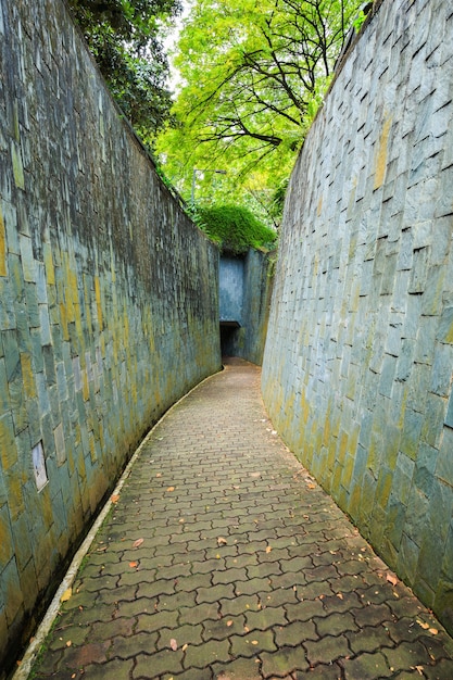 Kamień Spacer Sposób W Tunelu W Fort Canning Park, Singapur