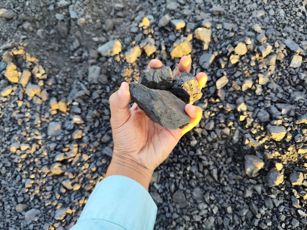 Kamień węglowy w dłoni człowieka