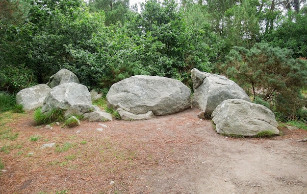 Kamienie Carnac w Bretanii