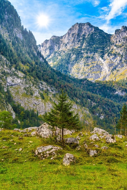Kamienie głazowe w Koenigssee Konigsee Park Narodowy Berchtesgaden Bawaria Niemcy