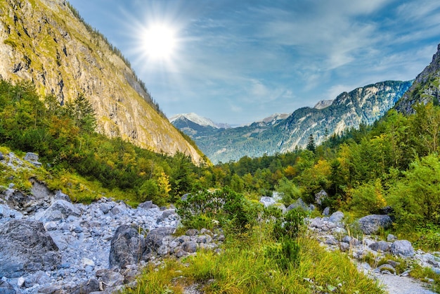 Kamienie głazowe w Koenigssee Konigsee Park Narodowy Berchtesgaden Bawaria Niemcy