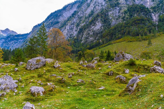 Kamienie Głazowe W Koenigssee Konigsee Park Narodowy Berchtesgaden Bawaria Niemcy