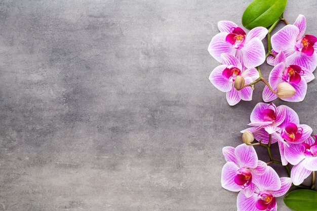 Zdjęcie kamienie orchid i spa na tle kamienia. scena spa i wellness.