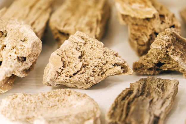 Kamienie skamieniałych drzew na białym tle Starożytne stare skamieniałe minerały z wydobycia drewna