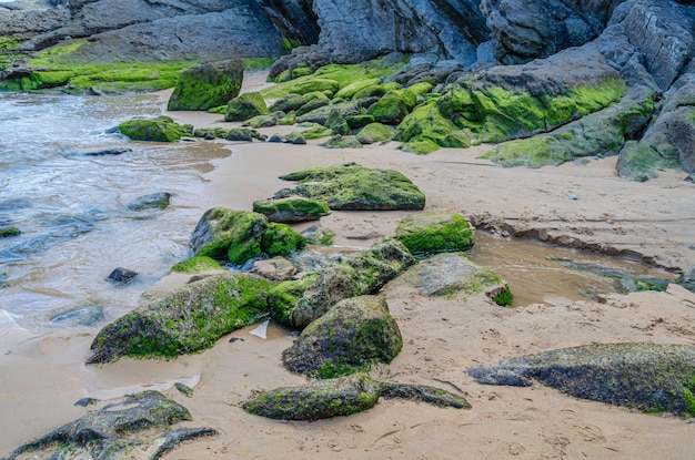 Zdjęcie kamienie z mchem na wybrzeżu morza kantabrijskiego