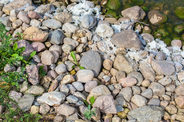 Kamienie z zieloną trawą w pobliżu jeziora