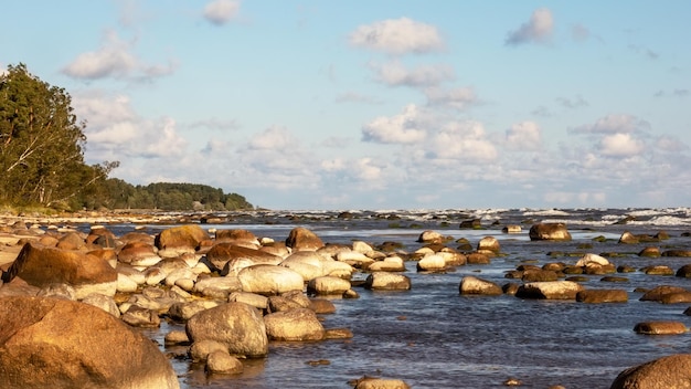 Kamienista plaża z pochmurnym niebem