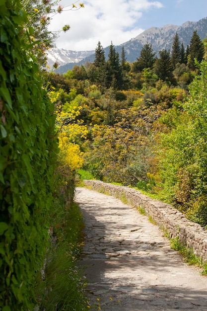 Kamienna droga do Mystras na Peloponezie w Grecji