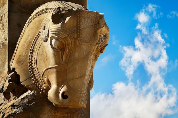 Kamienna rzeźba konia w Persepolis na tle błękitnego nieba z chmurami Symbol zwycięstwa starożytnego królestwa Achemenidów Iran Persia Shiraz