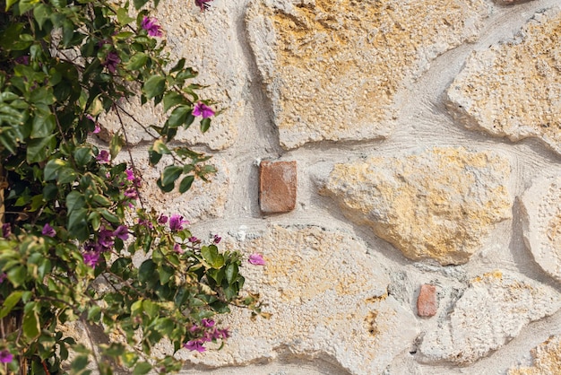 Kamienna ściana z jasnozielonymi liśćmi wzdłuż konturu. Makieta do projektu z pięknymi liśćmi