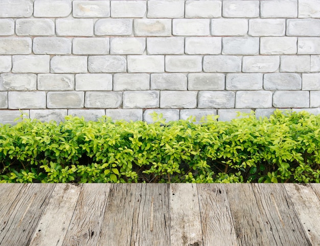 Kamienna ściana z zielonymi liśćmi i drewnianym podłogowym tłem