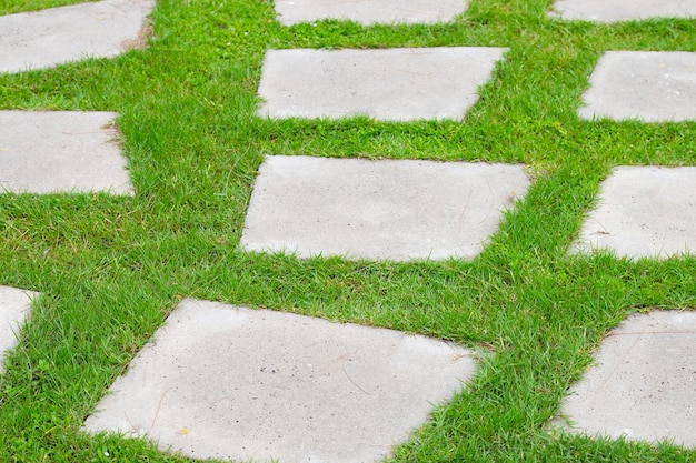 Kamienna ścieżka na zielonej trawie w ogrodzie