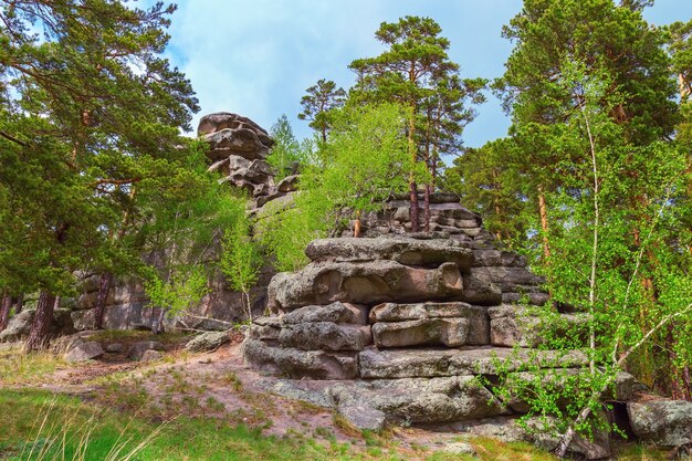 Kamienne Bloki Tworzące Wzgórza W Parku Narodowym