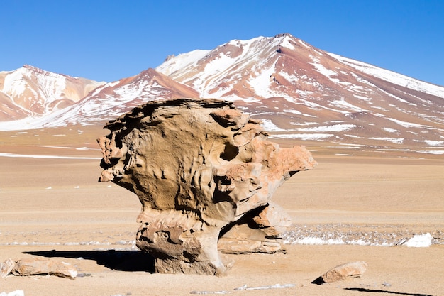 Kamienne drzewo, Boliwia. Boliwijski punkt orientacyjny. Arbol de Piedra