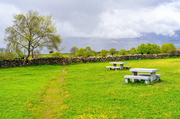 Kamienne ławki do siedzenia w parku zielonej trawy i żółtych kwiatów Guadarrama Madrid