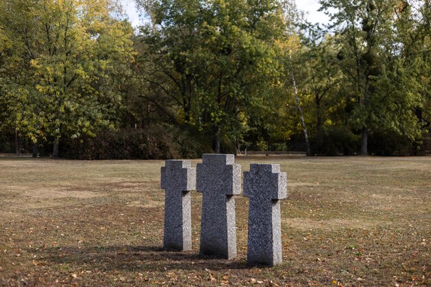 Zdjęcie kamienne nagrobki na niemieckim cmentarzu jesienią piękny niemiecki cmentarz w pobliżu kijowa